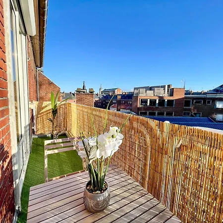 Cinema & Avec Balcon & Parking En Hyper Centre *