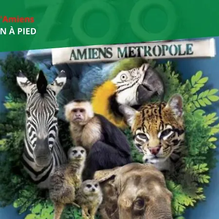 Cinema & Avec Balcon & Parking En Hyper Centre Apartment *